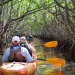 1 manatees and mangrove tunnels small group kayak tour Manatees and Mangrove Tunnels Small Group Kayak Tour