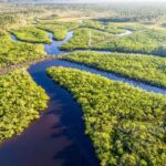 1 manaus amazonas jungle trek anavilhanas archipelago Manaus: Amazonas Jungle Trek & Anavilhanas Archipelago