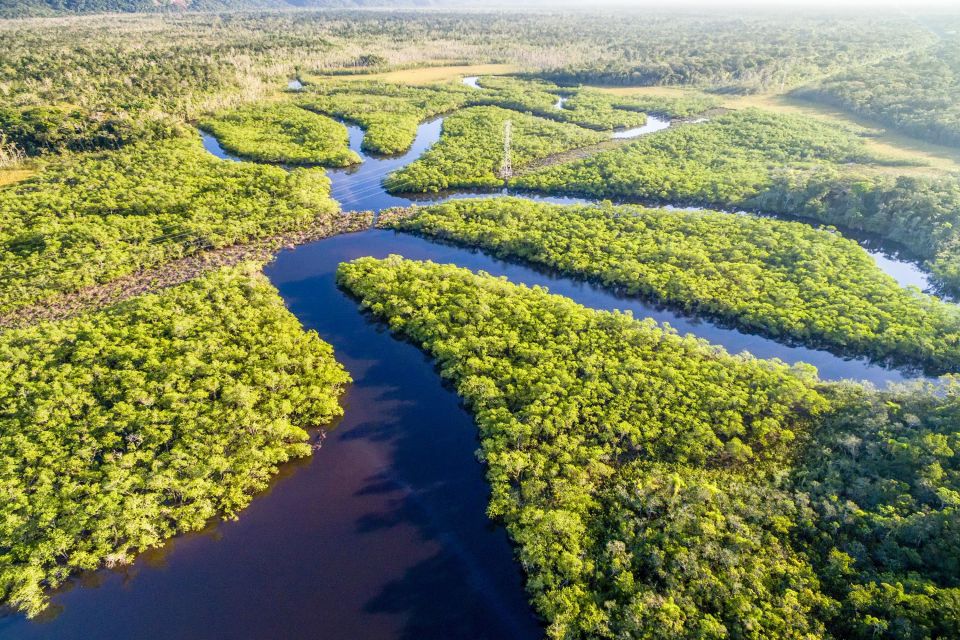 1 manaus amazonas jungle trek anavilhanas archipelago Manaus: Amazonas Jungle Trek & Anavilhanas Archipelago