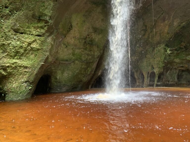 Manaus: Presidente Figueiredo Caves and Waterfalls Tour
