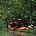 1 mangrove beaches and islands by kayak tour Mangrove, Beaches and Islands by Kayak Tour