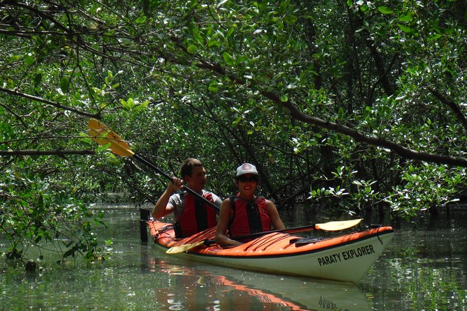 Mangrove, Beaches and Islands by Kayak Tour
