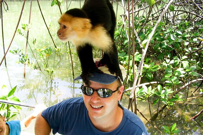 Mangrove Boat Tour Damas Island Manuel Antonio