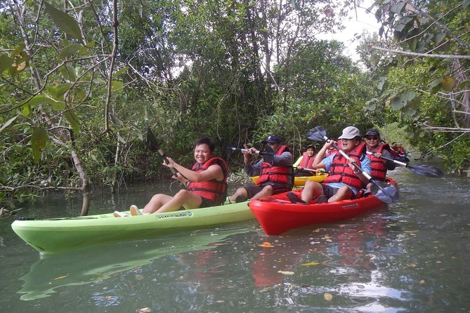 Mangrove Kayaking Adventure in Singapore