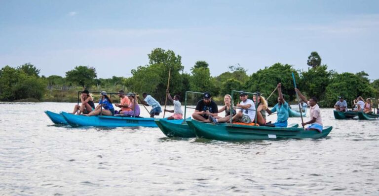 Mangrove Lagoon Safari