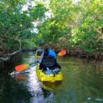 1 mangrove tunnel kayak adventure in key largo Mangrove Tunnel Kayak Adventure in Key Largo
