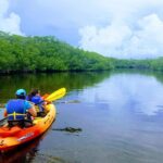 1 mangroves and manatees guided kayak eco tour Mangroves and Manatees - Guided Kayak Eco Tour