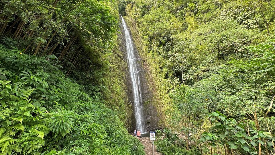 Manoa Falls Ebike to Hike - Trek Through Manoa Falls Trail