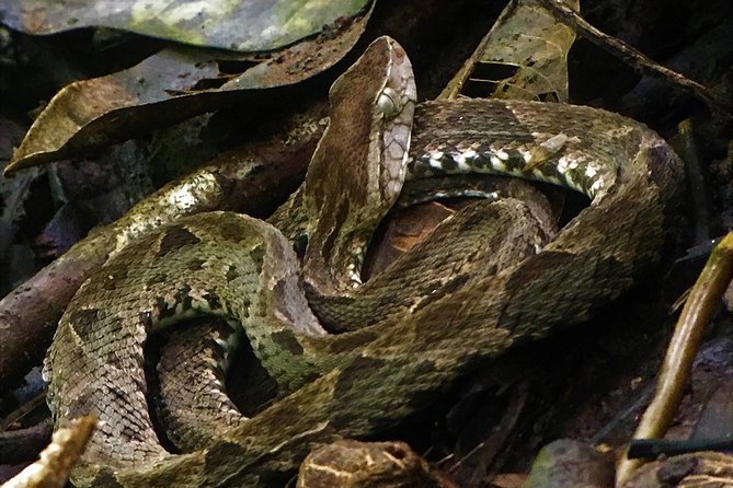 1 manuel antonio park tour and its amazing wildlife and beaches Manuel Antonio Park Tour and Its Amazing Wildlife and Beaches