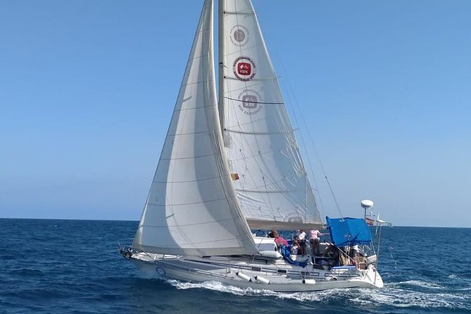 1 marbella sailing Marbella Sailing Experience