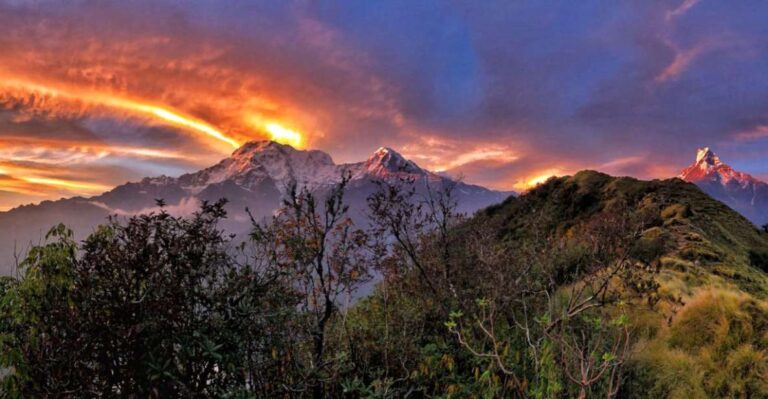 Mardi Himal Trek: 5 Days Mardi Trek From Pokhara