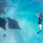 1 marine eco safari swim with manta rays Marine Eco Safari - Swim With Manta Rays