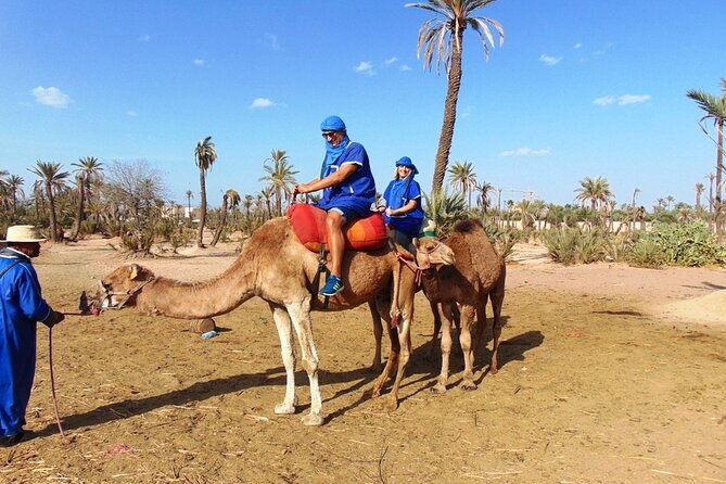 Marrakech Camel Ride in Palmeraie