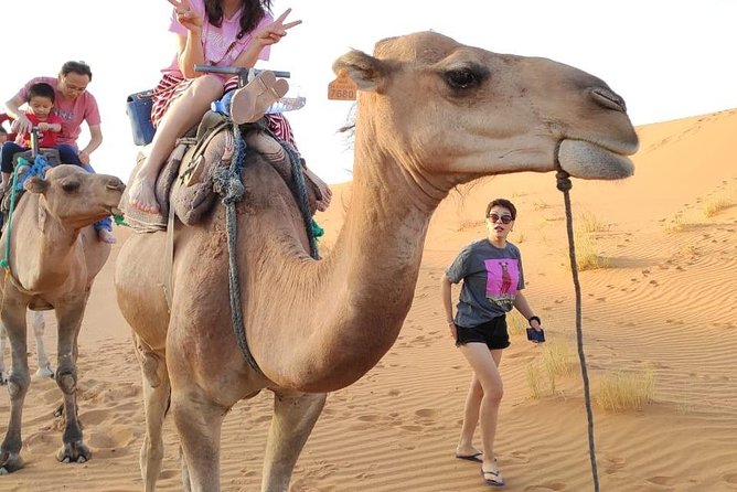 Marrakech to Fes Transfer Tour via the Merzouga Desert