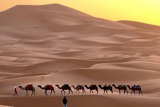 Marrakech to Fez 3-Day Tour Through the Merzouga Desert