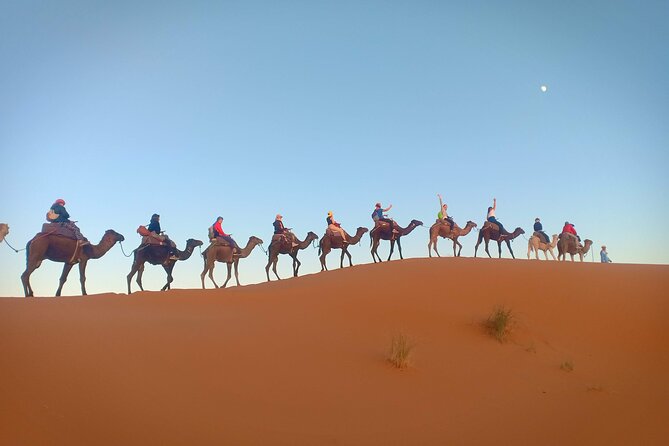Marrakesh 3 Days Tour to Fez With Overnight Desert Camping