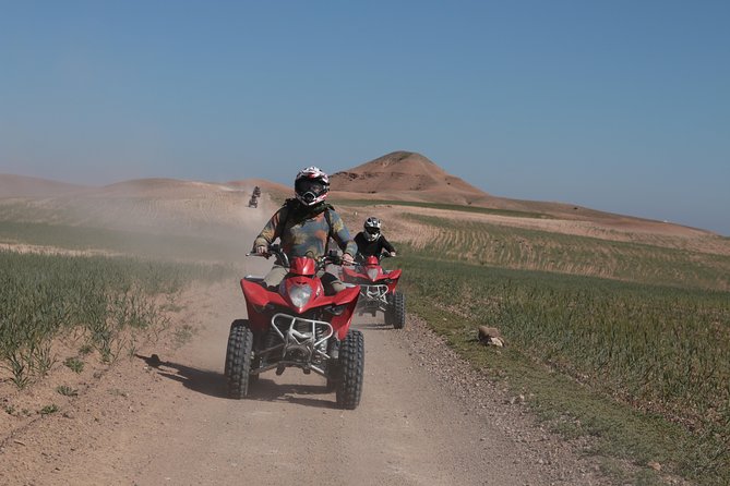 Marrakesh Small-Group Palm Grove Quad Bike and Desert Tour (Mar )