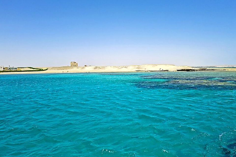 1 marsa alam sataya reefs dolphin snorkeling and lunch Marsa Alam: Sataya Reefs Dolphin, Snorkeling and Lunch