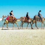 1 marsa alam sea and desert camel riding tour Marsa Alam: Sea and Desert Camel Riding Tour
