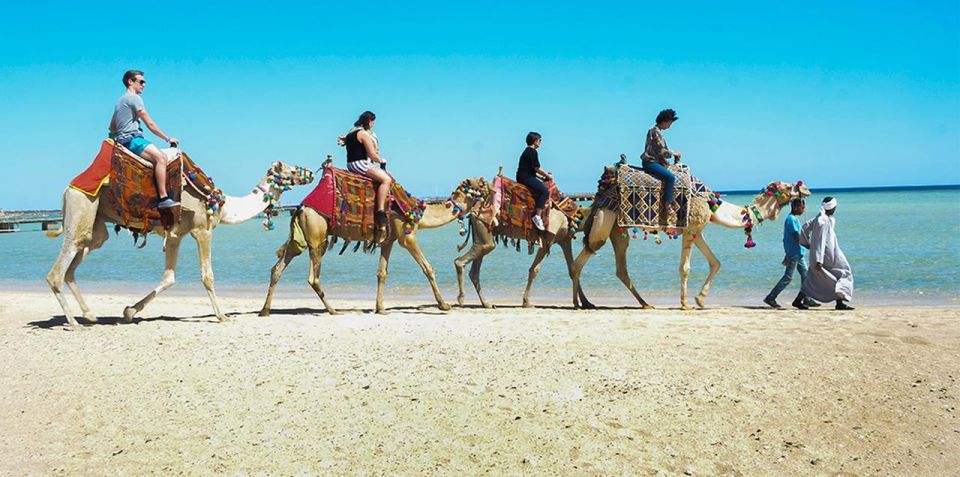 1 marsa alam sea and desert camel riding tour Marsa Alam: Sea and Desert Camel Riding Tour