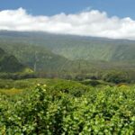 1 maui full day hiking tour with lunch Maui: Full Day Hiking Tour With Lunch
