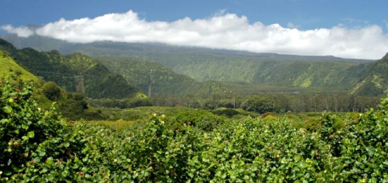 Maui: Full Day Hiking Tour With Lunch