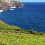 1 maui horseback riding tour Maui Horseback-Riding Tour