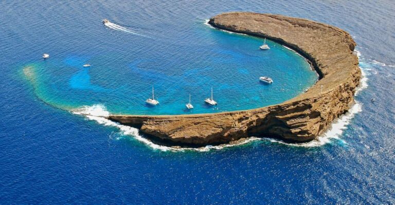 Maui: Molokini Snorkel and Performance Sail With Lunch
