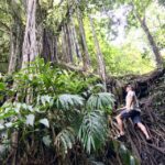 1 maui private jungle and waterfalls hiking adventure Maui: Private Jungle and Waterfalls Hiking Adventure