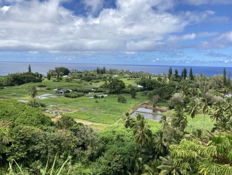 Maui: Sightseeing & Photography Tour Along the Road to Hana
