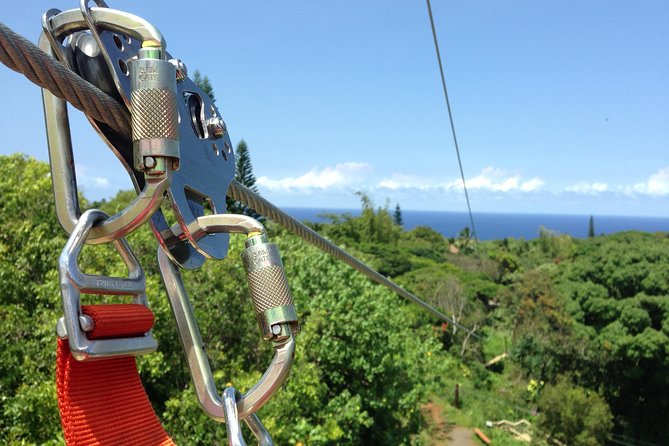 Maui Zipline Eco Tour - 8 Lines Through the Jungle - Zipline Adventure in Haiku