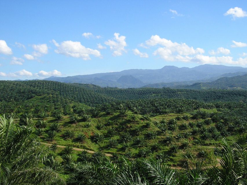 1 medan mount leuser national park full day trip Medan: Mount Leuser National Park Full-Day Trip