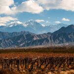 1 mendoza full day wine tour with 3 course lunch Mendoza: Full Day Wine Tour With 3 Course Lunch