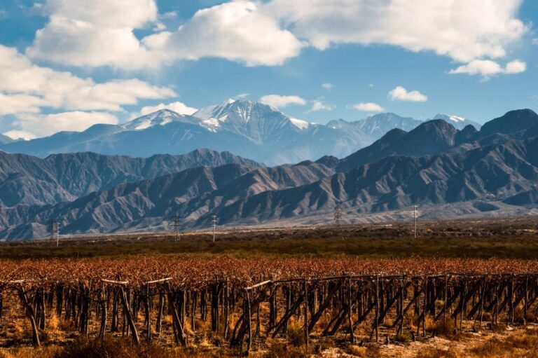 Mendoza: Full Day Wine Tour With 3 Course Lunch
