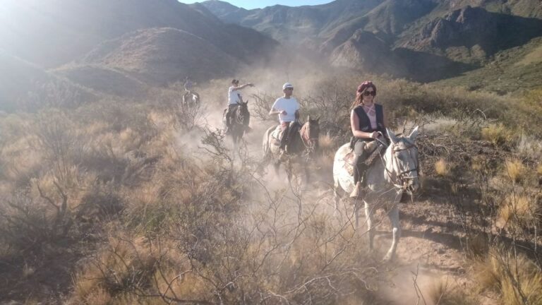 Mendoza: Horseback Riding in the Andes With Authentic BBQ