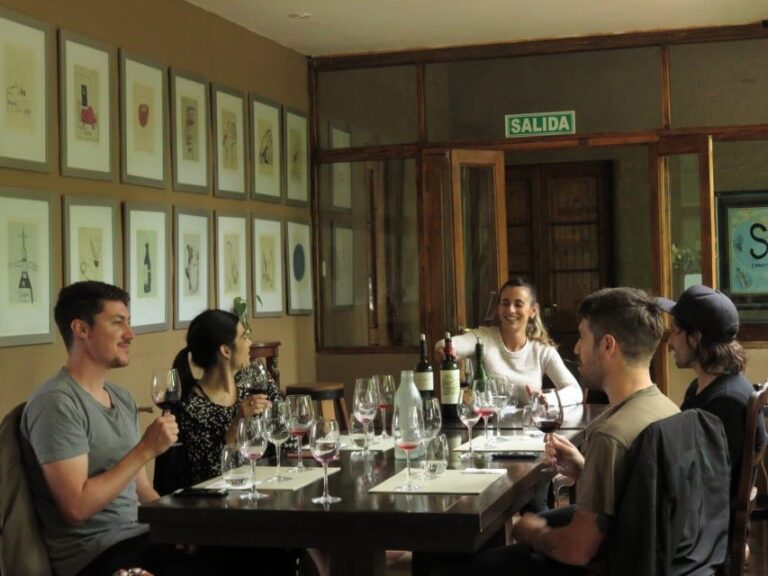 Mendoza: Private Wine Tour, Tastings and Lunch With Pairings