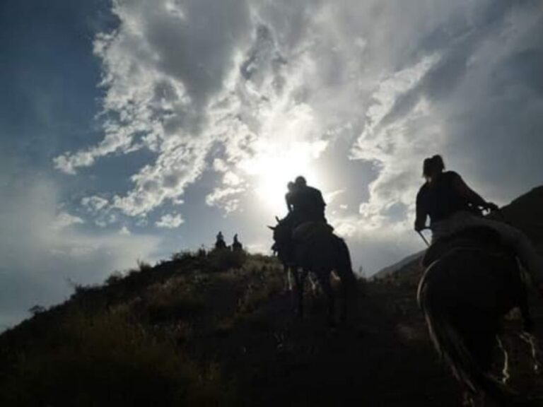 Mendoza: Sunset Horse Back Riding in the Mountains and BBQ