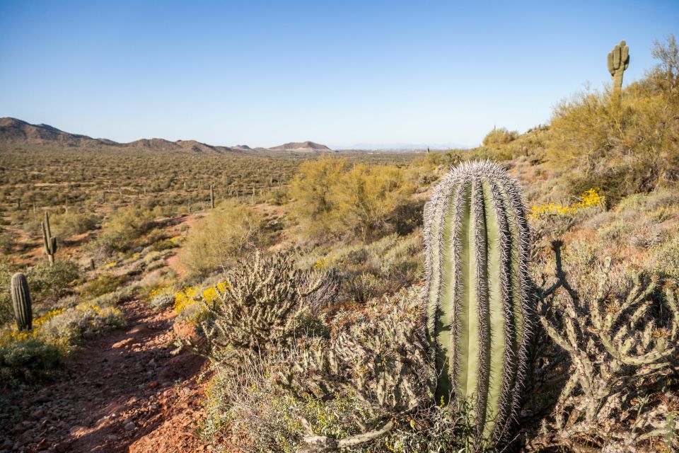 1 metro phoenix apache trail tour with canyon lake cruise Metro Phoenix: Apache Trail Tour With Canyon Lake Cruise