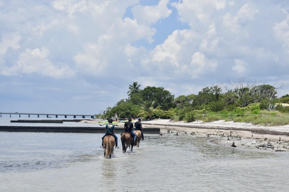 1 miami beach horse ride nature trail Miami: Beach Horse Ride & Nature Trail