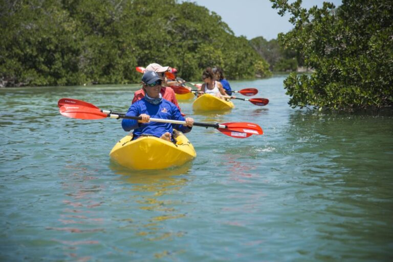 Miami: Key West Tour With Snorkeling & Kayaking