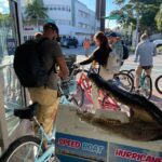 1 miami south beach architecture and cultural bike tour Miami: South Beach Architecture and Cultural Bike Tour