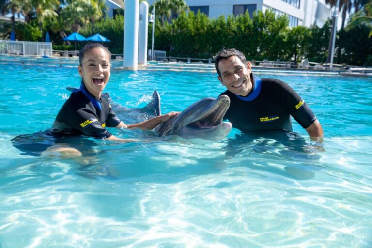Miami: Swim With Dolphins Experience With Seaquarium Entry