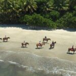 1 mid morning beach horse ride in cape tribulation Mid-Morning Beach Horse Ride in Cape Tribulation