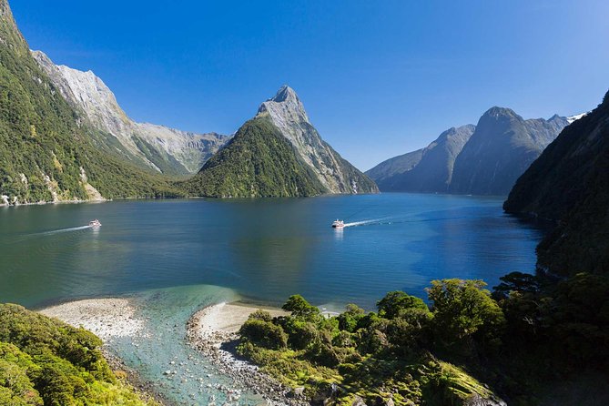 Milford Sound Coach and Nature Cruise With Buffet Lunch From Te Anau