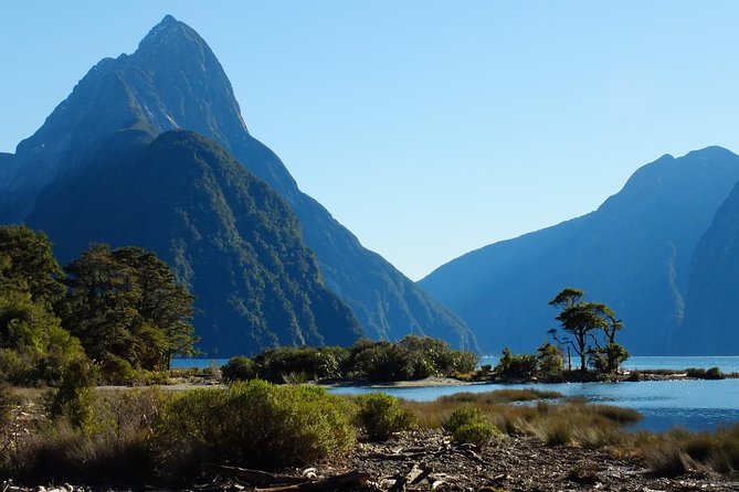 Milford Sound Discovery Tour