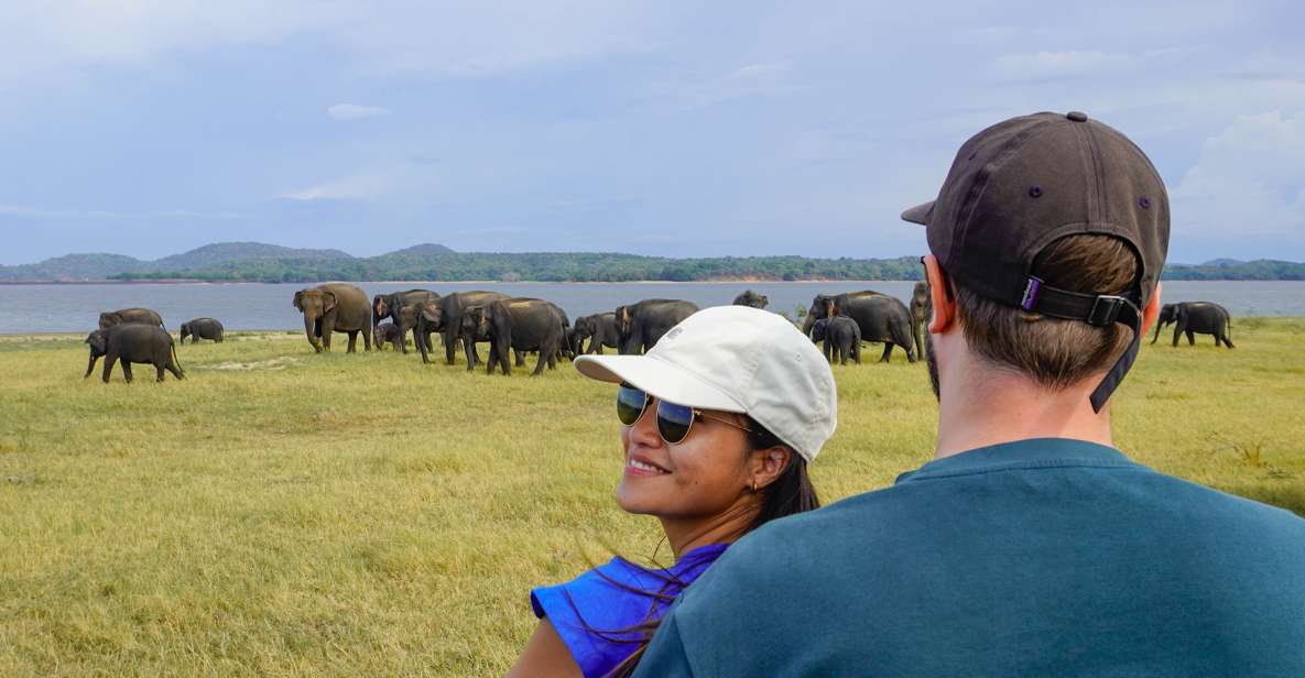 1 minneriya national park half day sri lanka jeep safari Minneriya National Park Half Day Sri Lanka Jeep Safari