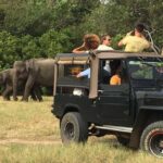 1 minneriya national park halfday jeep safari with wild tours Minneriya National Park: Halfday Jeep Safari With Wild Tours
