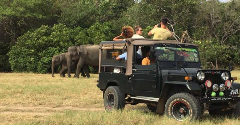 Minneriya National Park: Halfday Jeep Safari With Wild Tours