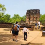 1 minneriya wild safari and polonnaruwa sightseeing day tour Minneriya Wild Safari and Polonnaruwa Sightseeing Day Tour