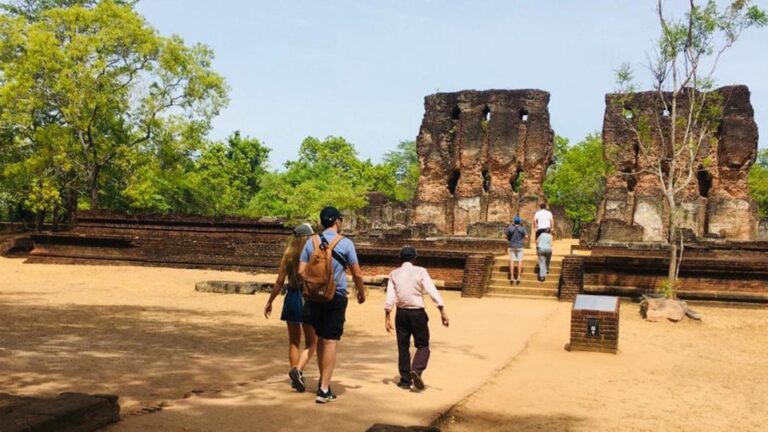 Minneriya Wild Safari and Polonnaruwa Sightseeing Day Tour
